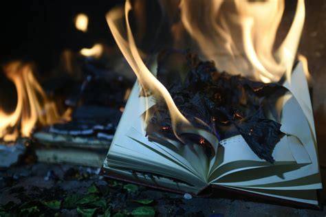 Why Are Books Burned in Fahrenheit 451: A Symphony of Silence and Shadows